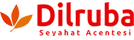Dilruba